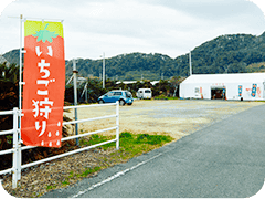 白浜いちご狩りセンター