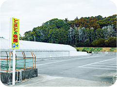 富浦いちご狩りセンター